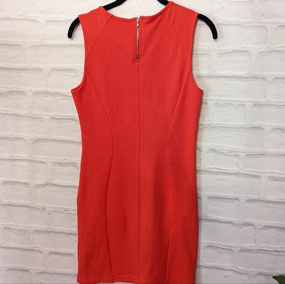 🌸4 for$25🌸 Divided snake print dress - Picture 2 of 4